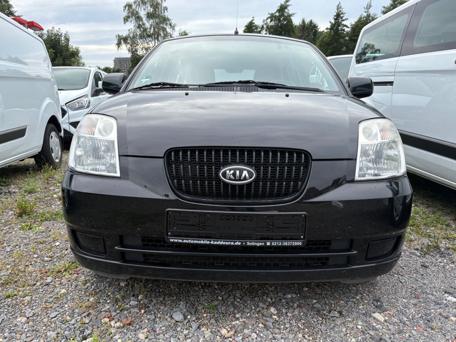 Fahrzeugabbildung Kia Picanto 1.1 LX